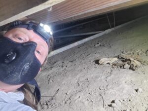 Home Inspector in a crawlspace.