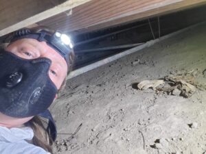 C.W. Home Inspections in a crawlspace.