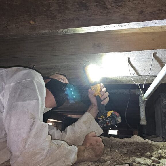Crawlspace inspection
